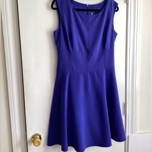 Marc New York by Andrew Marc royal blue Dress. Size 10